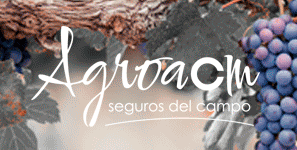 ACM SEGUROS octubre 22